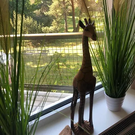 Bed & Breakfast Maggies-apartment-hannover Hannover